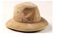 Safari